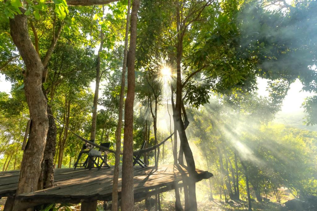 A Pause That Changes the Way You&nbsp;Live